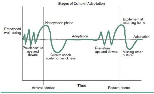 Stages-of-cultural-adaptation